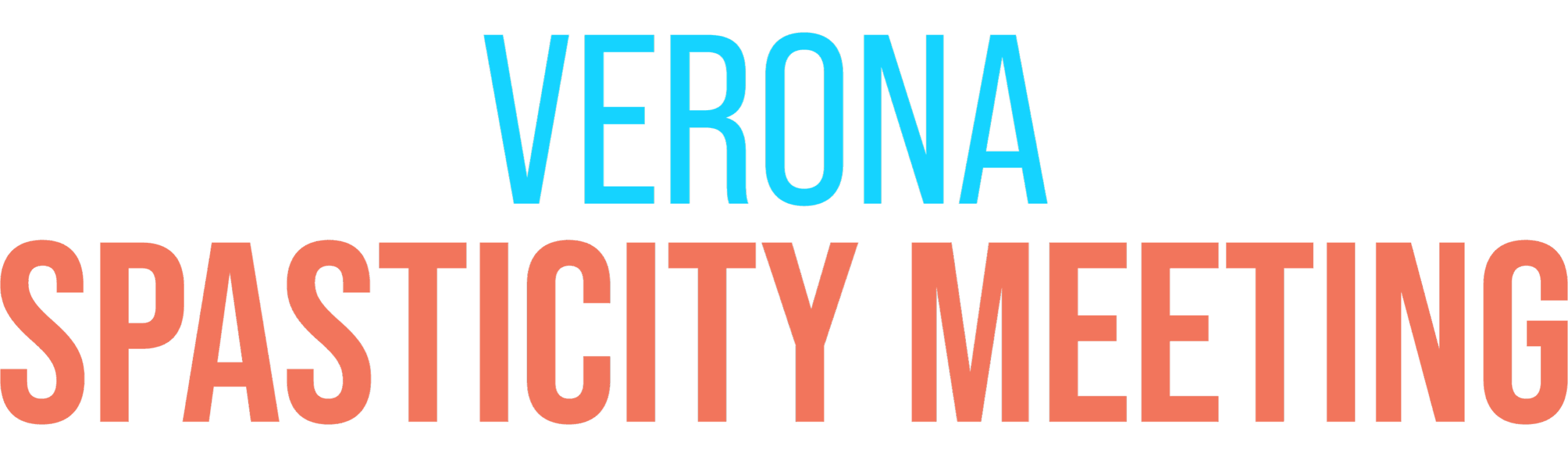 Verona Spasticity Meeting